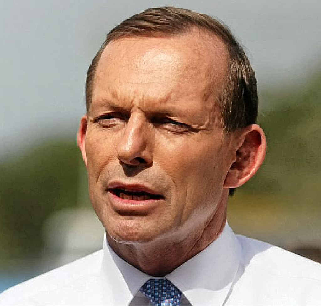 CRITICISING AUNTIE: Prime Minister Tony Abbott. CRITICISING AUNTIE: Prime Minister Tony Abbott.